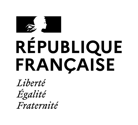 Institut français de Finlande - Ranskan instituutti Suomessa (second logo)